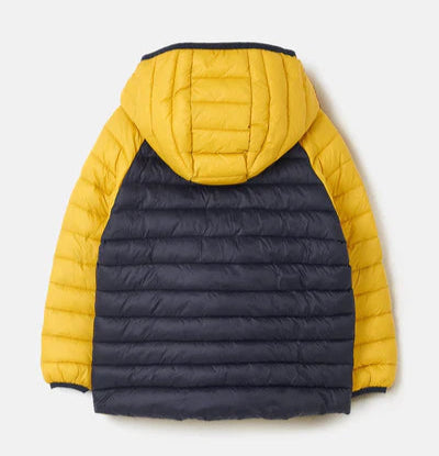 Lighthouse kids padded coat navy yellow with hood and quilted design for warmth and comfort
