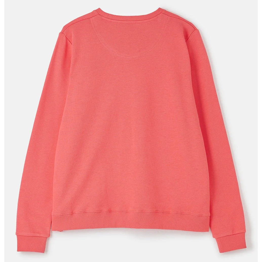 Coral Lighthouse sweatshirt on a white background