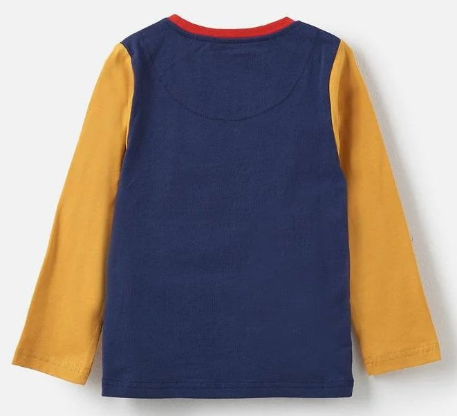 Lighthouse Kids Oliver Long Sleeve Tee - Angus Highland Cow