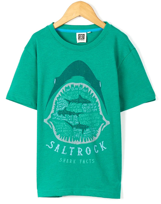 Saltrock kids shark tee in green with shark facts graphic design on the front