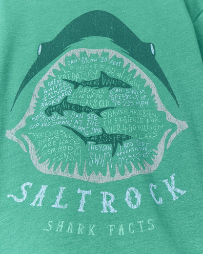 Saltrock Kids Shark Facts Short Sleeve Tee - Bright Green