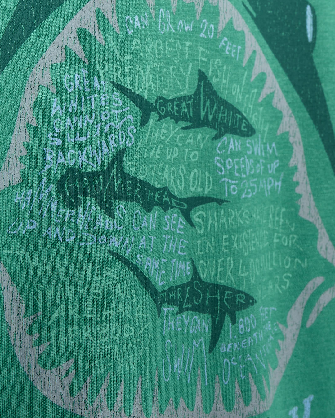 Saltrock Kids Shark Facts Short Sleeve Tee - Bright Green