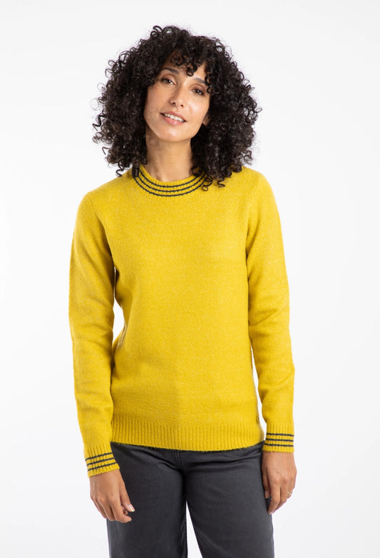 Woman wearing a Weird Fish yellow Dawkins knitted jumper with navy trim on a white background