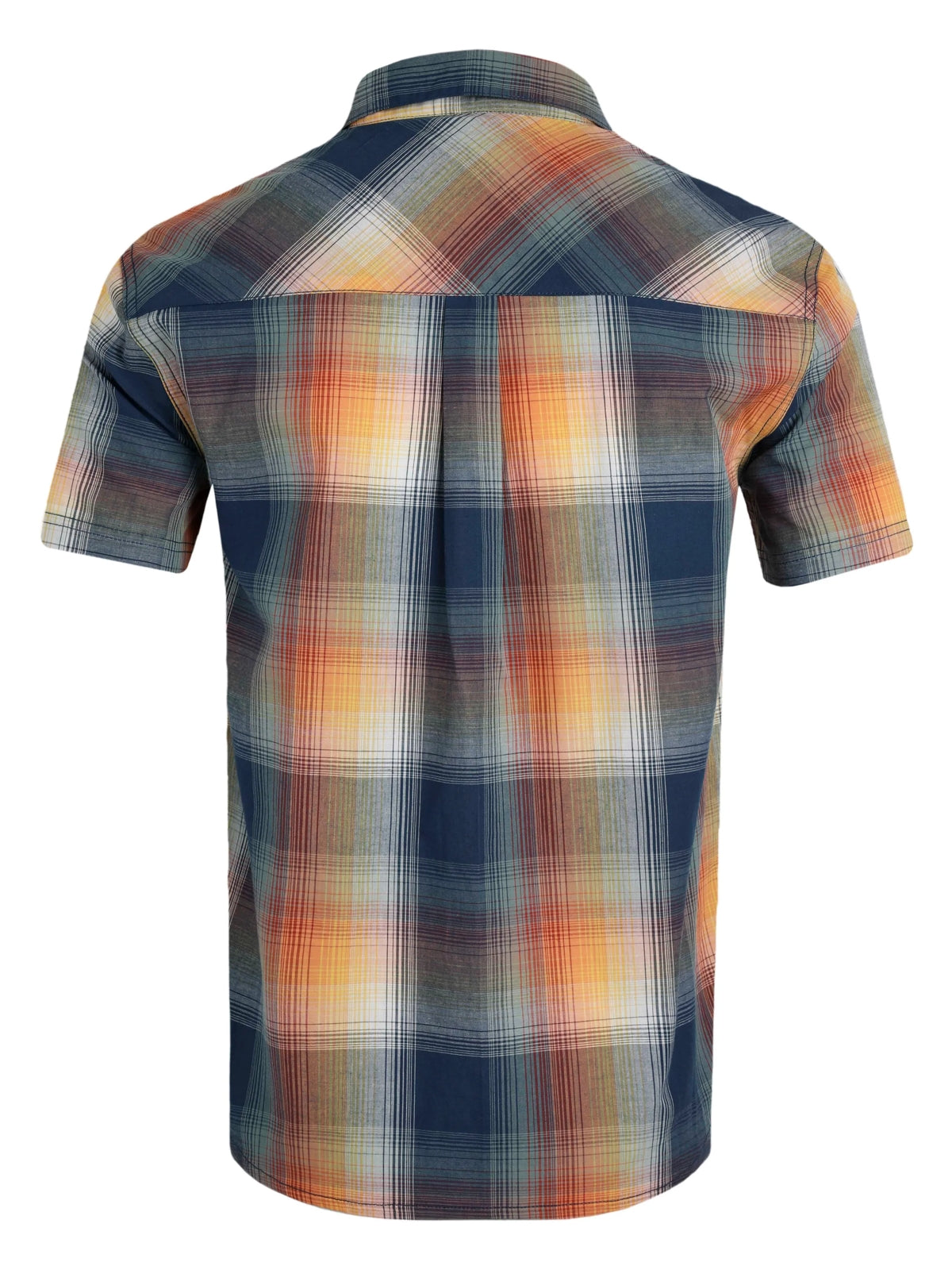 Back view of Weird Fish mens Judd check shirt Ensign Blue with short sleeves and multicolour plaid pattern