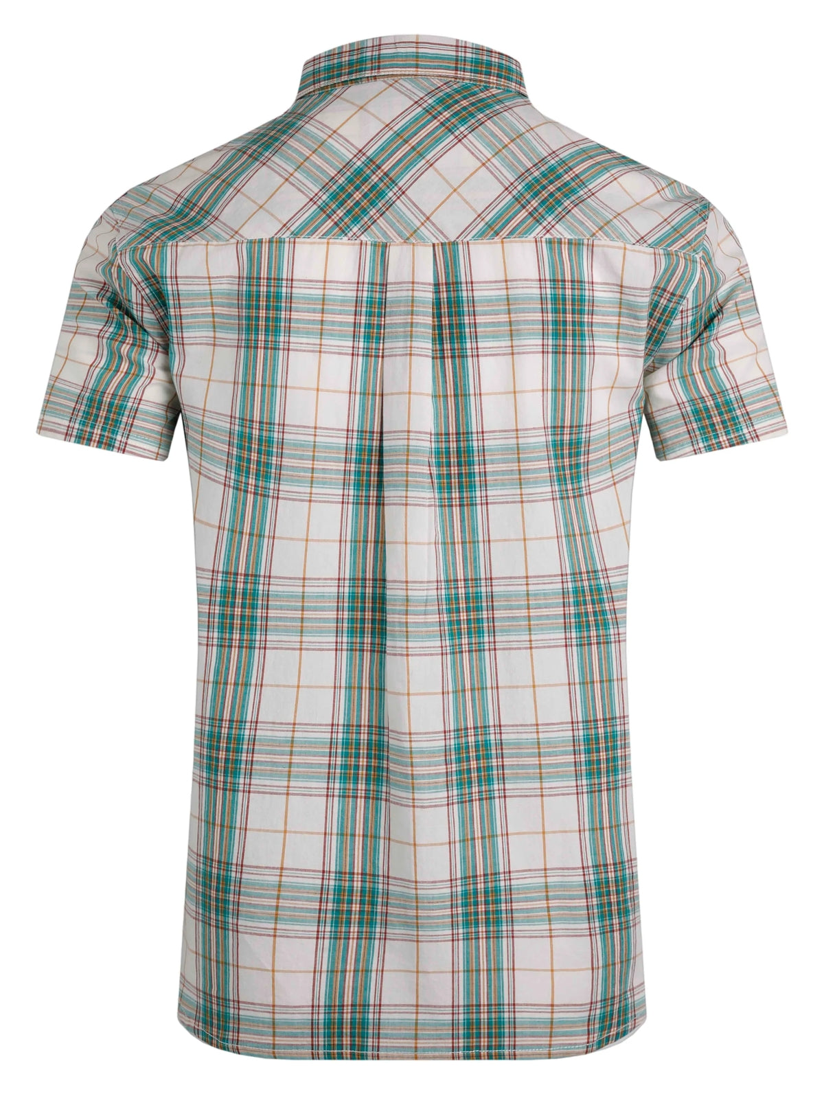 Weird Fish mens Judd check shirt Viridis Green short sleeve casual plaid shirt back view