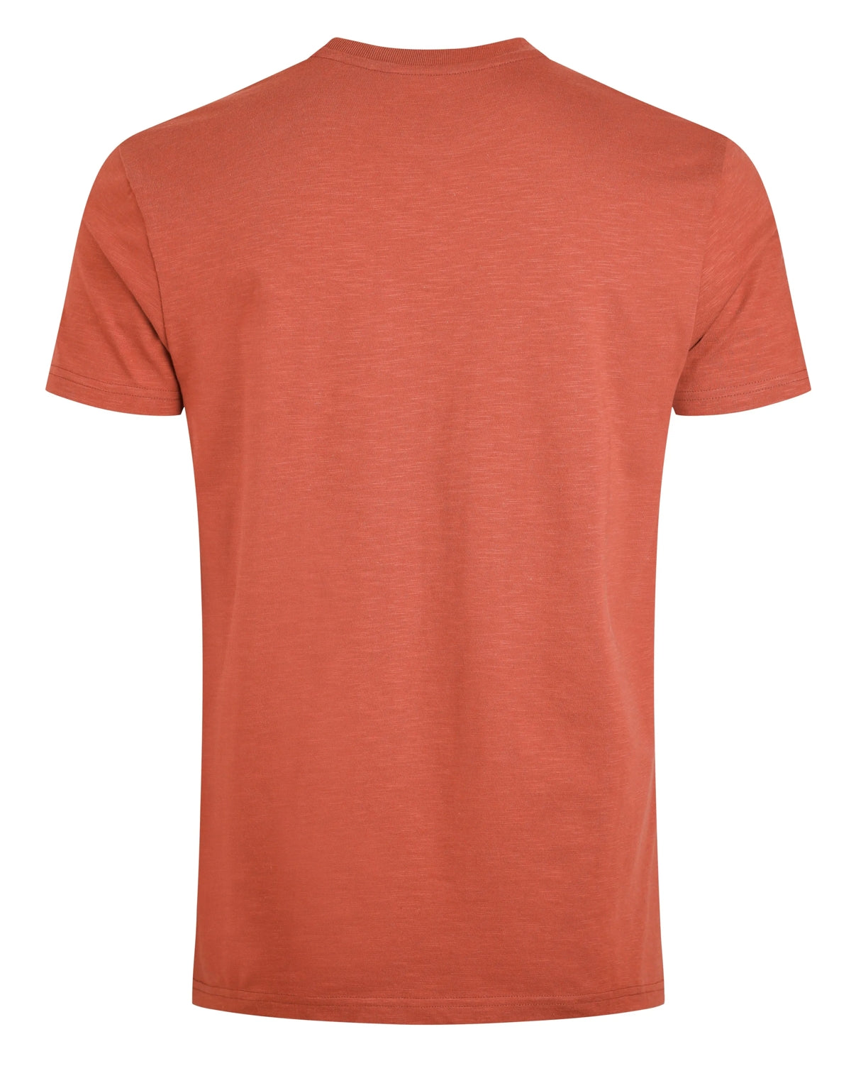 Back view of Weird Fish mens t-shirt baked clay color plain short sleeve casual tee