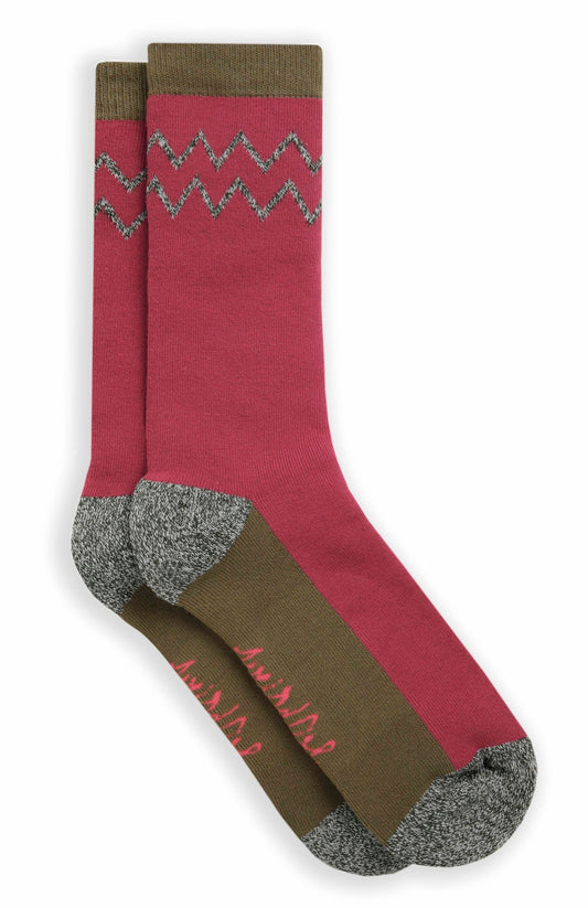 Weird Fish Womens Celia 2 Pack Walking Socks - Olive Green