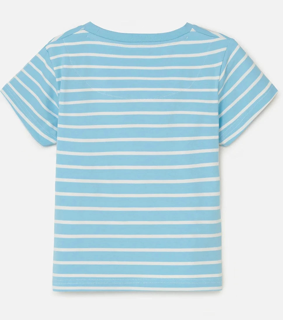Lighthouse Kids Causeway Short Sleeve Tee - Sheepdog / Lamb Print