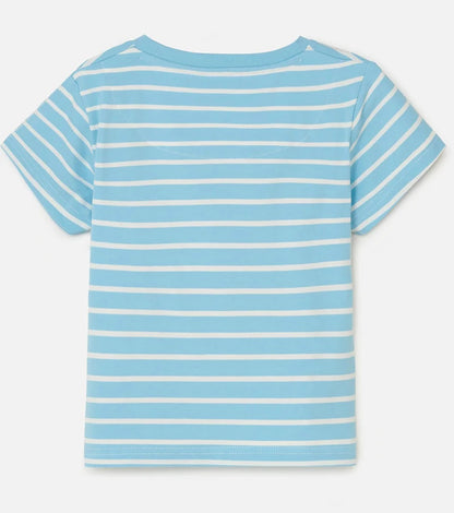 Lighthouse Kids Causeway Short Sleeve Tee - Sheepdog / Lamb Print