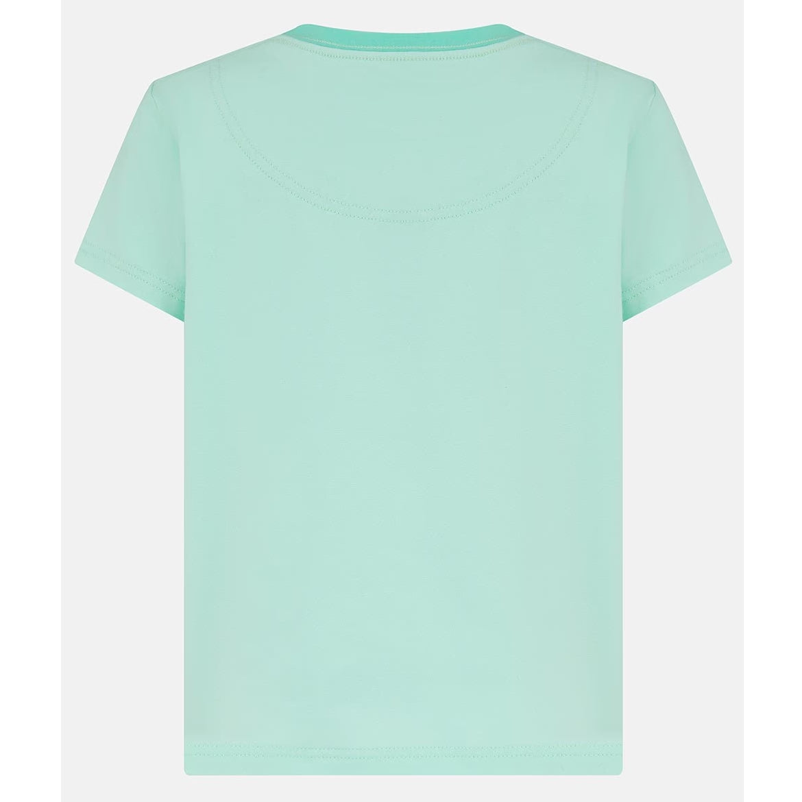Back view of a kids Lighthouse short sleeve Causeway t-shirt in mint green, featuring a white and pink poodle dog print on the front.