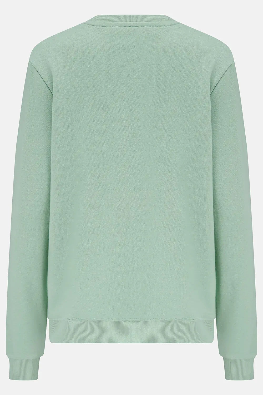Back view of a women's Lighthouse Seaside crew neck sweatshirt in Pastel Green.