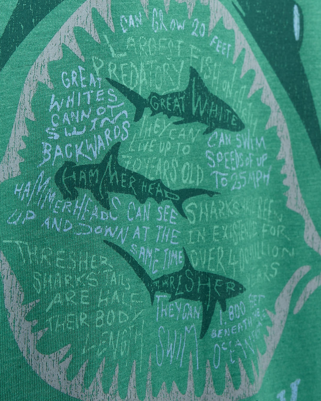 Saltrock kids shark tee featuring a colorful shark graphic and fun facts about sharks