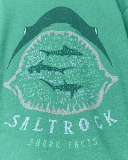 Saltrock kids shark tee featuring fun shark facts and a graphic shark mouth design