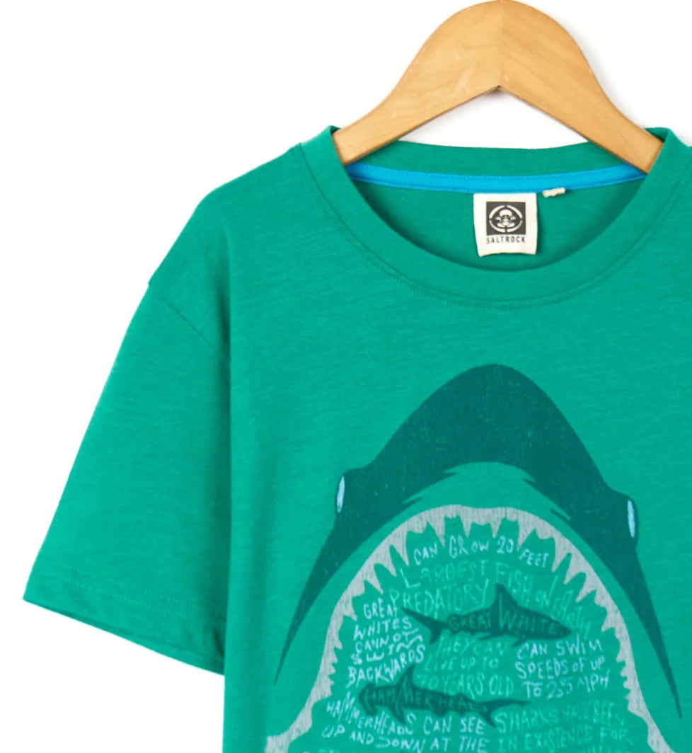 Saltrock kids shark tee in green with fun shark graphic and educational text features