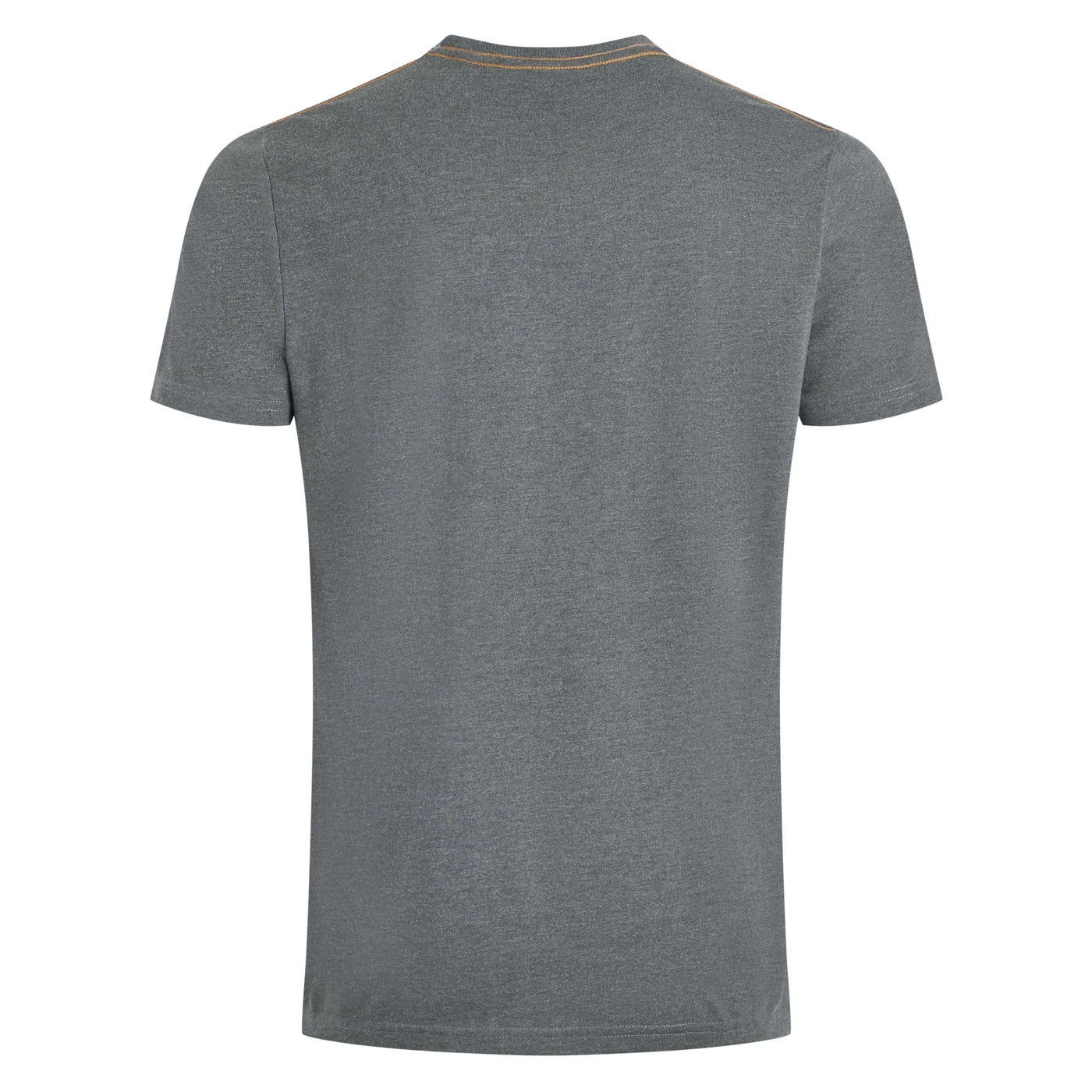 Back view of a mens Weird Fish grey Explorer t-shirt on a white background