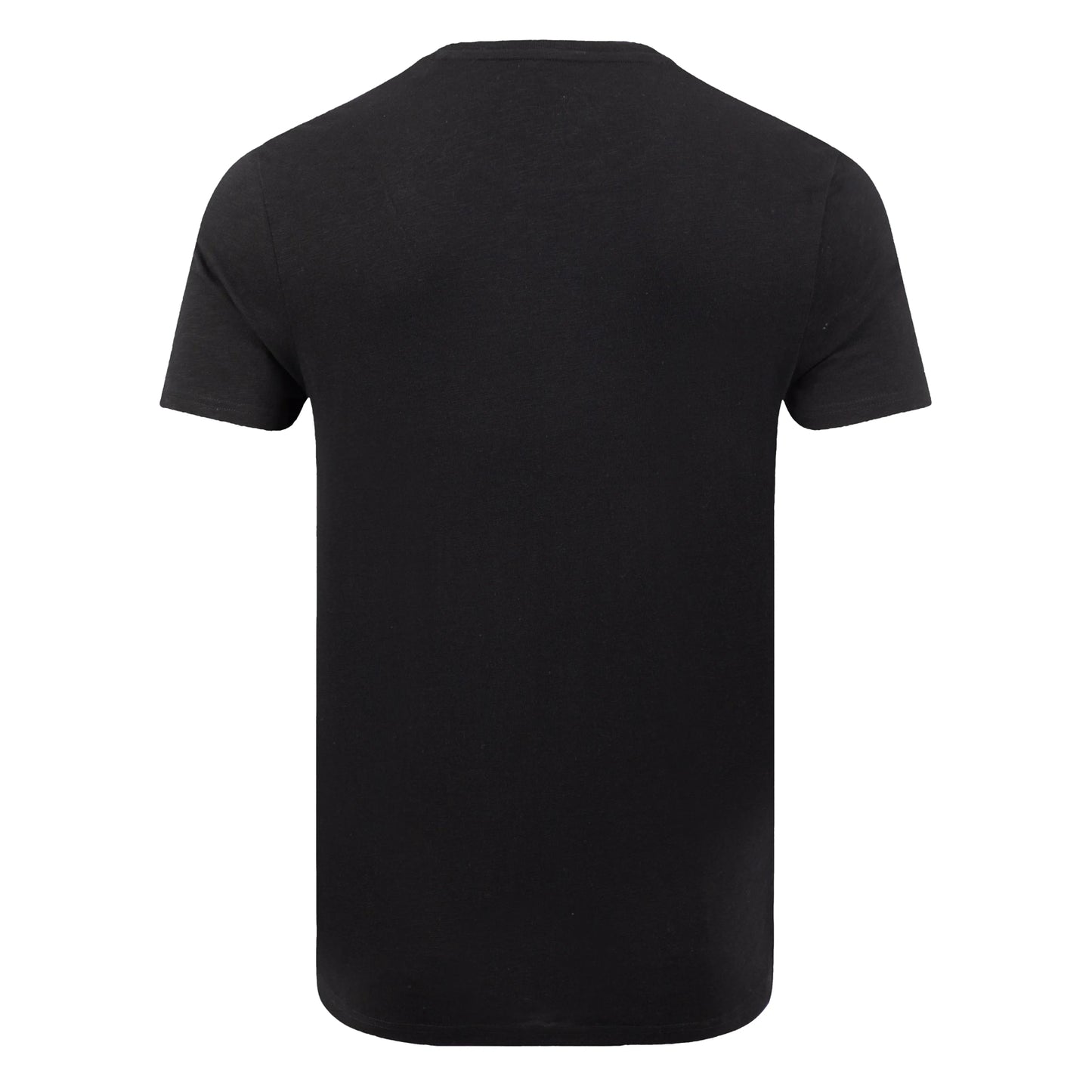 Back view of a men's Weird Fish short sleeve Fished t-shirt in black.