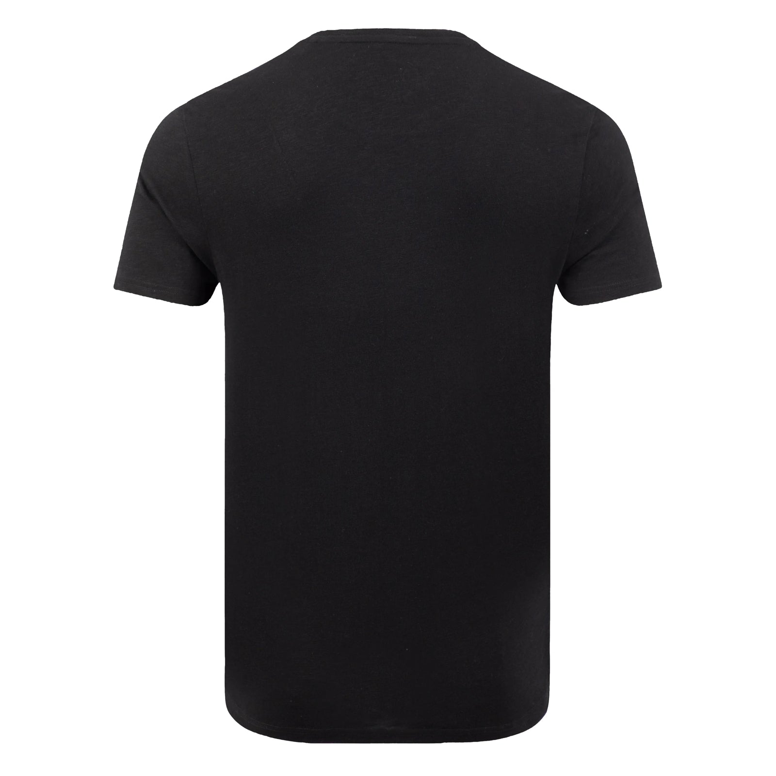 Back view of a men's Weird Fish short sleeve Fished t-shirt in black.
