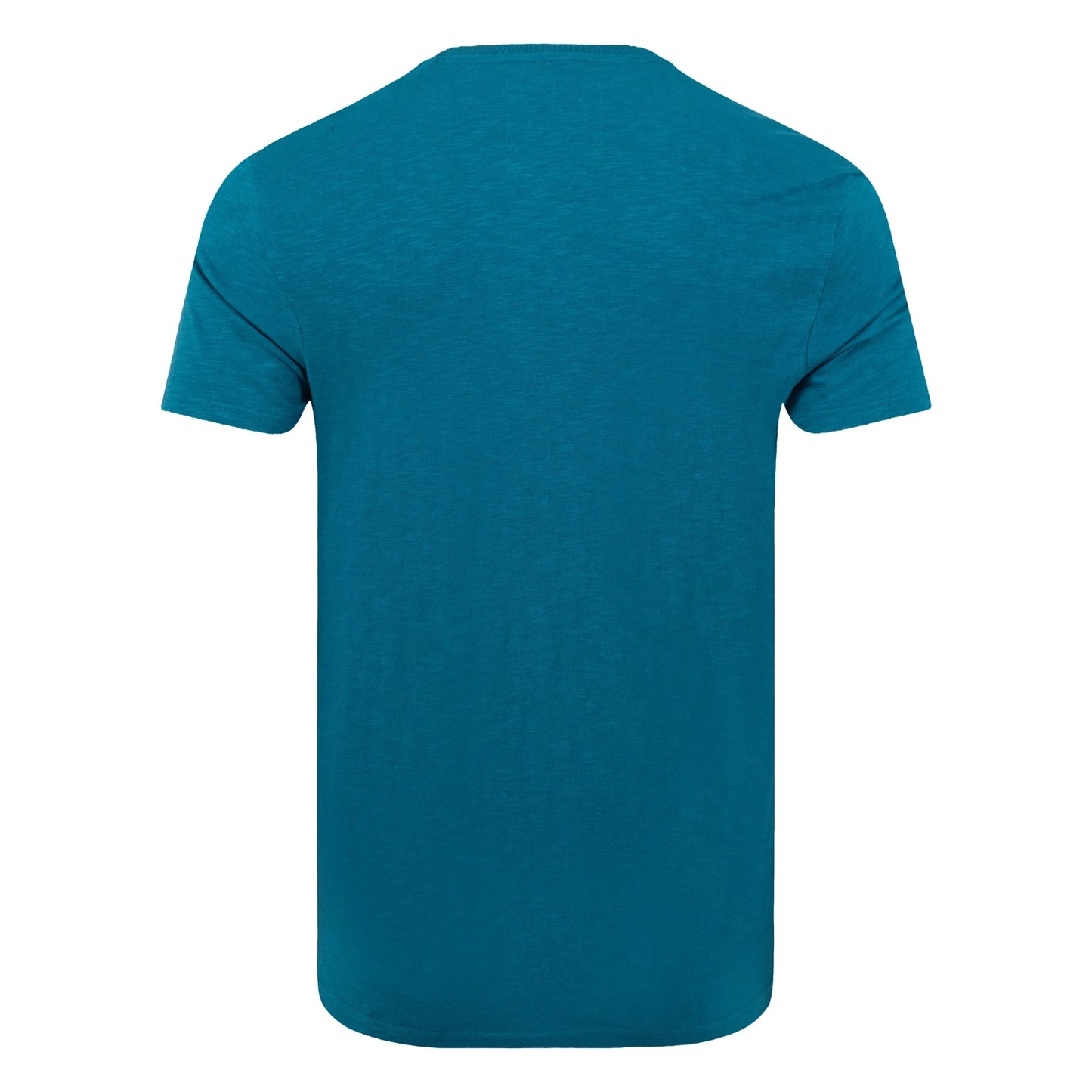 Back view of a mens Weird Fish crew neck short sleeve Fished t-shirt in Blue Teal with small logo on one side of the chest.