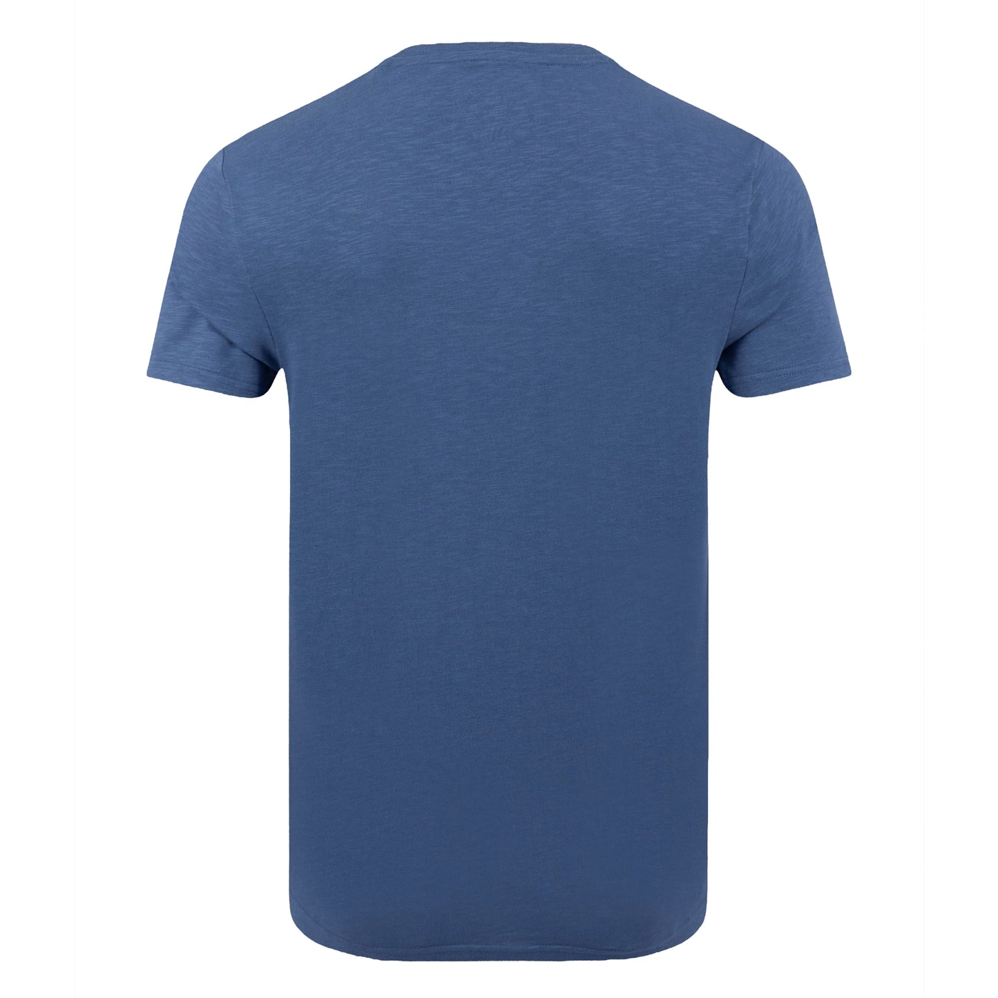 Back view of a men's Weird Fish short sleeve Fished t-shirt in Faded Blue..