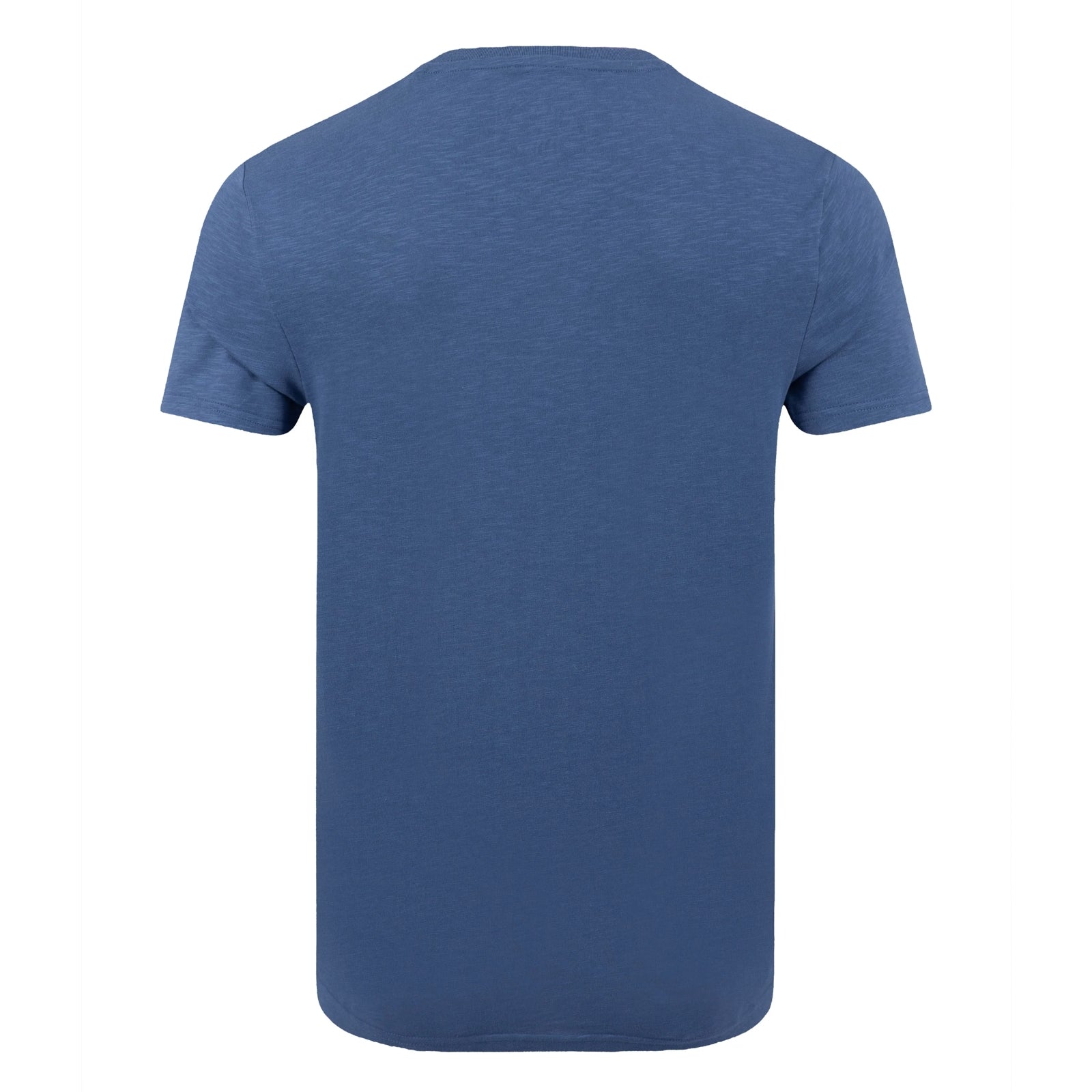 Back view of a men's Weird Fish short sleeve Fished t-shirt in Faded Blue..