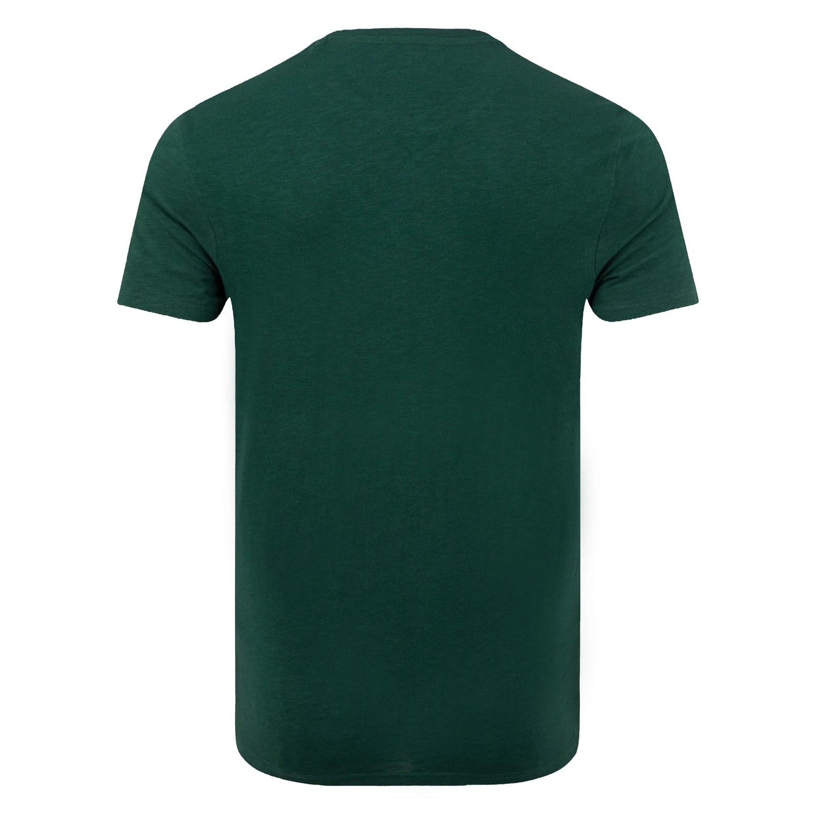 Back view of a men's Weird Fish short sleeve plain t-shirt in Pine Green with small red emblem on the chest