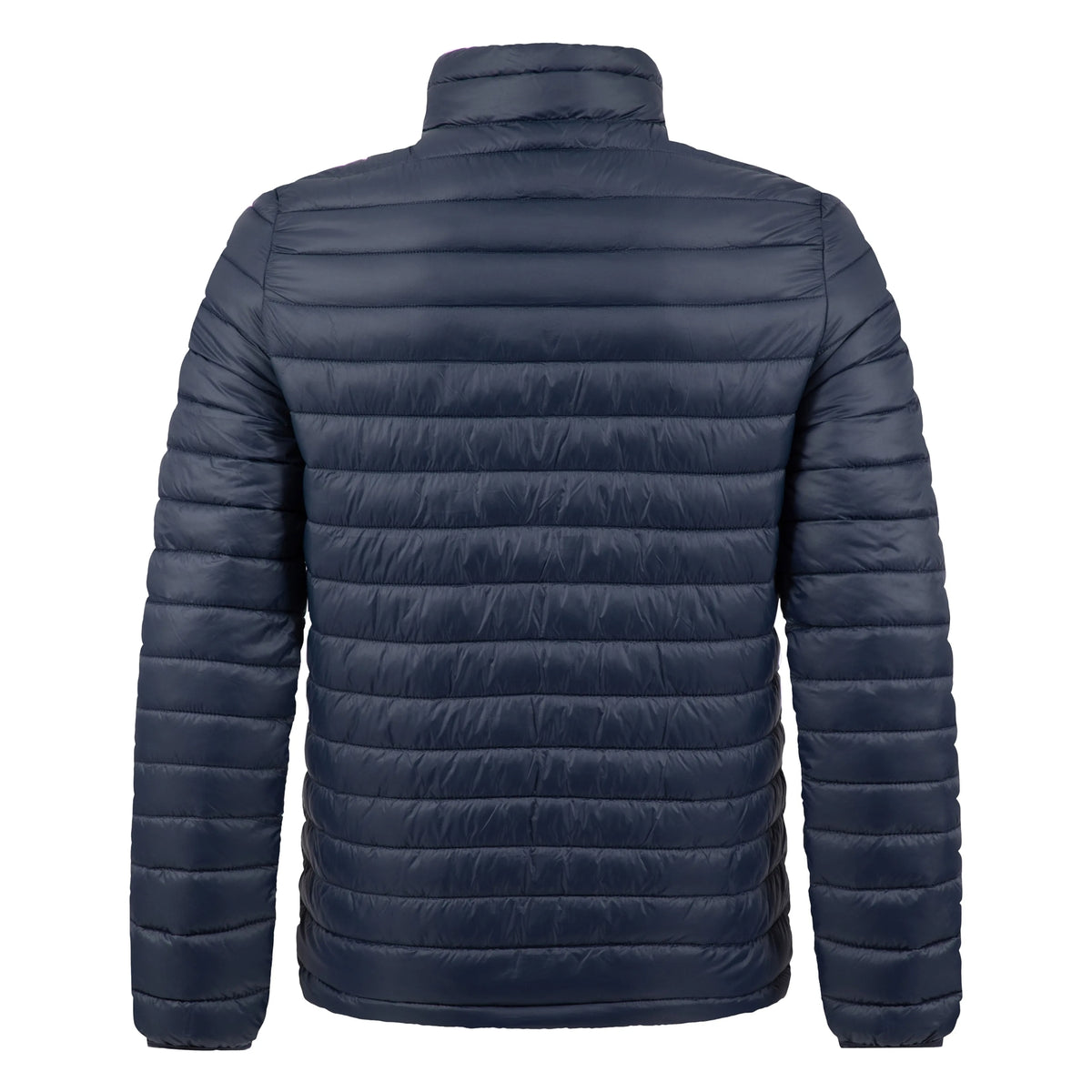 Back view of a Weird Fish Crantock padded jacket in navy.