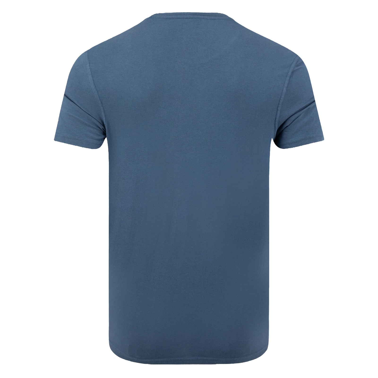 Plain back view of a mens Weird Fish 'Carp Side of the Moon' printed short sleeve t-shirt in Ensign Blue.