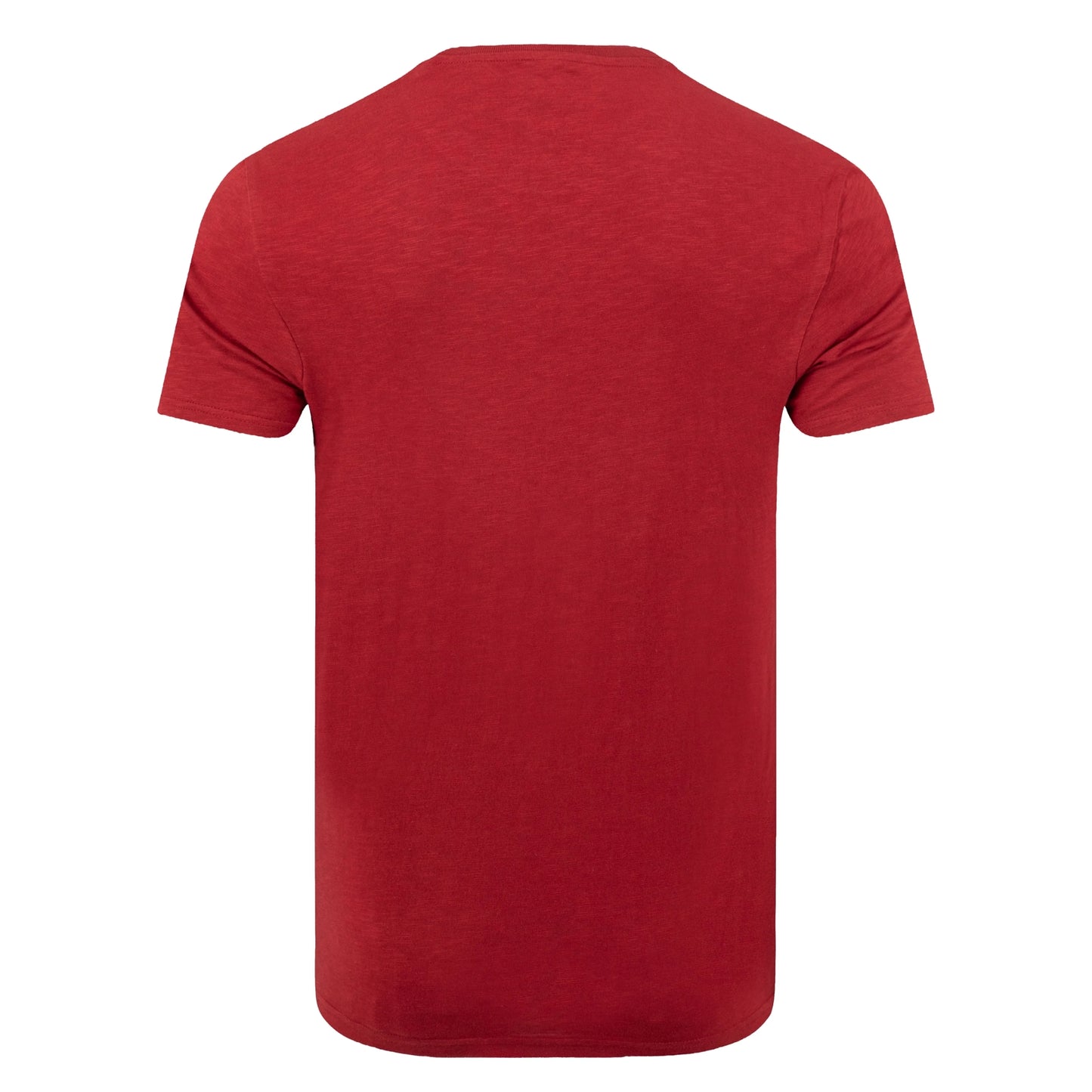 Back view of a mens Weird Fish crew neck short sleeve Fished t-shirt in Barn Red with small logo on one side of the chest.