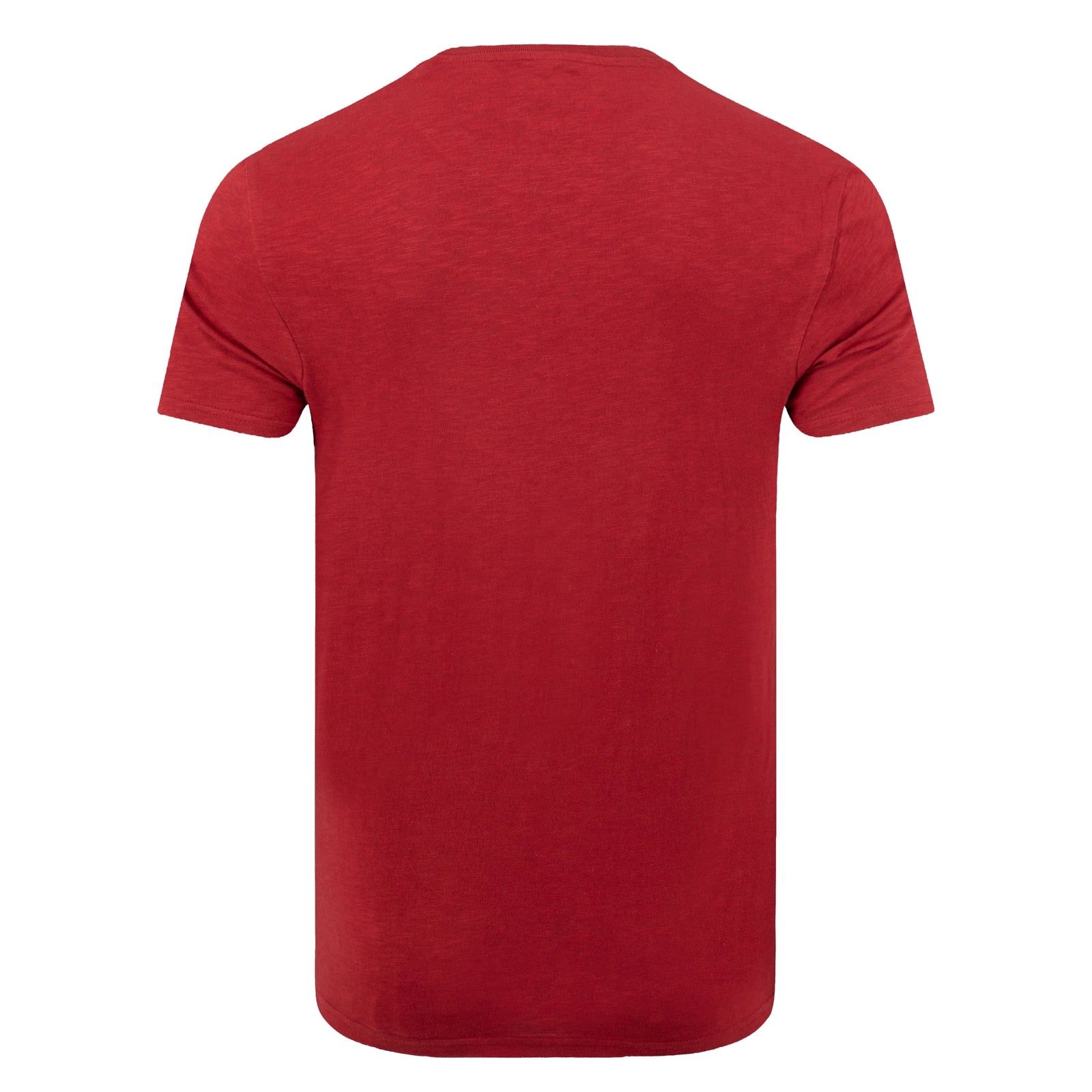 Back view of a mens Weird Fish crew neck short sleeve Fished t-shirt in Barn Red with small logo on one side of the chest.