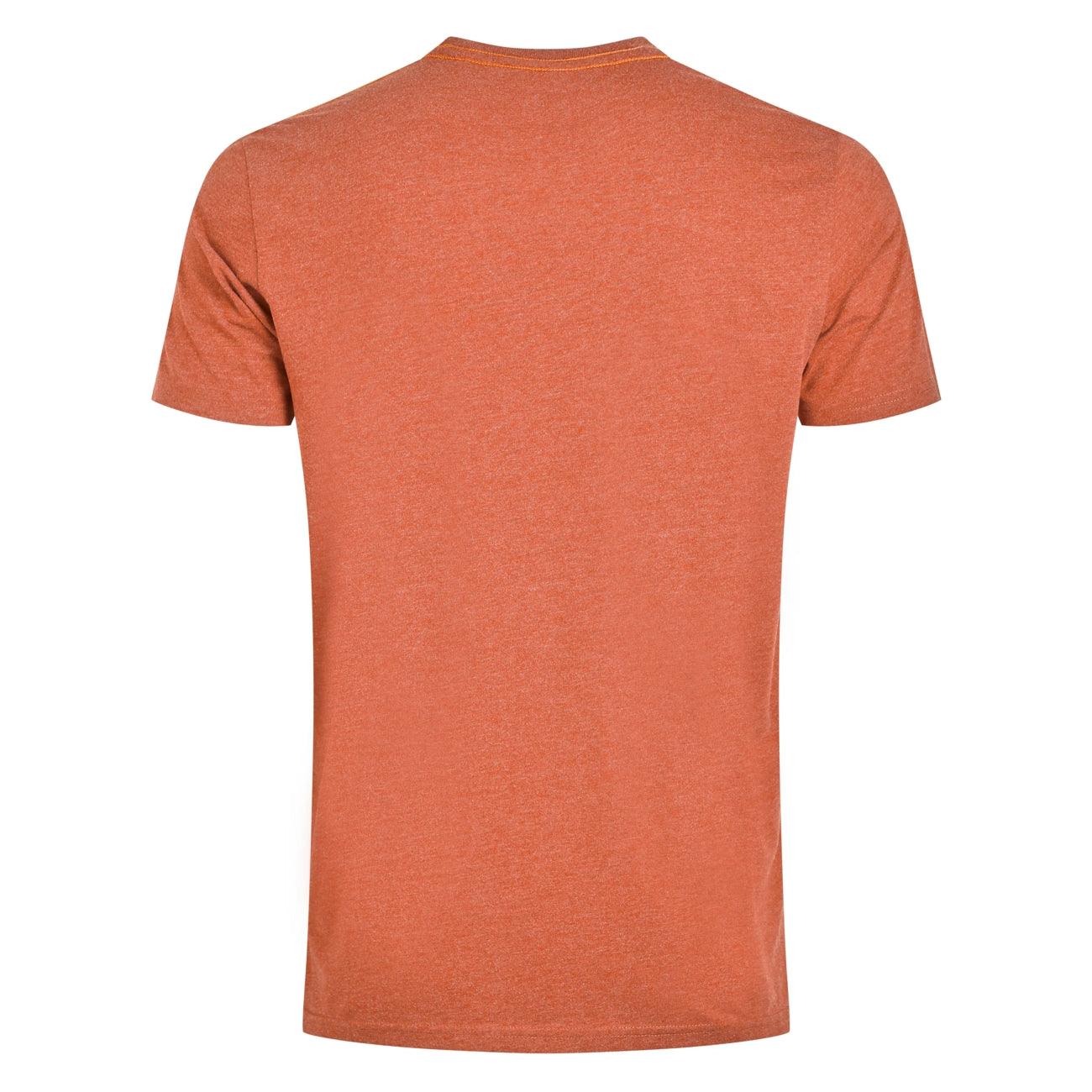Baack view of a mens Weird Fish Double Fish short sleeve t-shirt in Rust Leaves on a white background