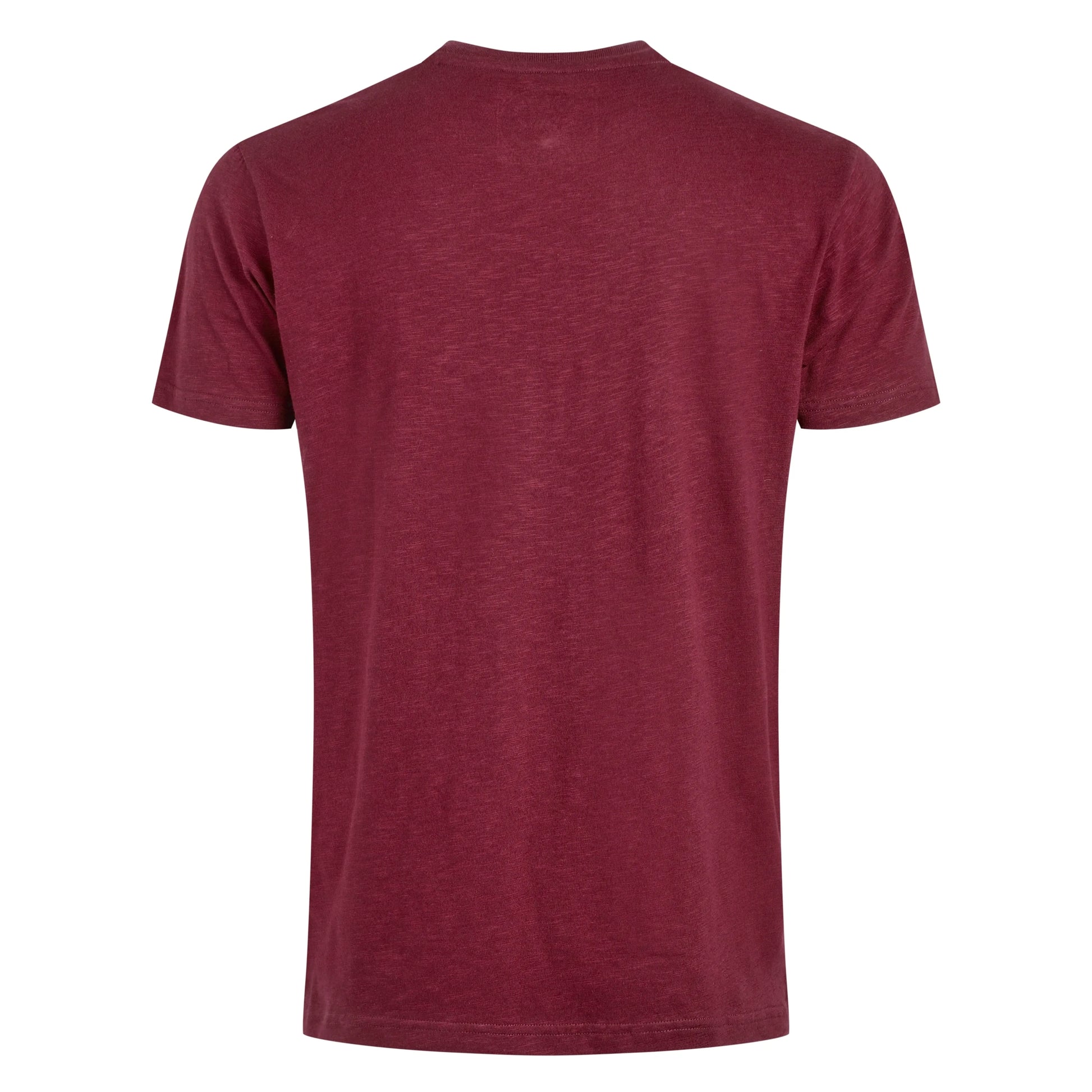 Back view of Weird Fish mens Fished t-shirt red in plain solid color with short sleeves