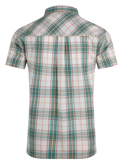 Weird Fish mens Judd check shirt Viridis Green short sleeve casual plaid shirt back view