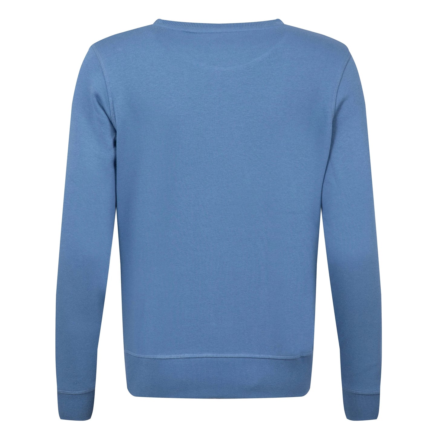 Back view of a womens Weird Fish Aurora crew neck sweatshirt in Faded Blue with a nautical logo print on the front.