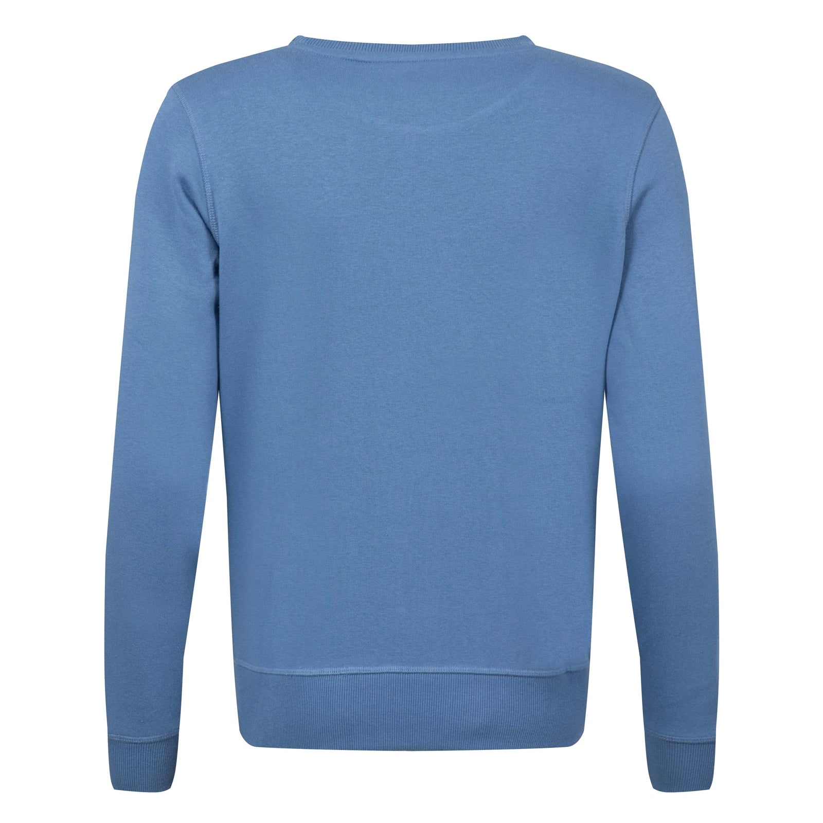 Back view of a womens Weird Fish Aurora crew neck sweatshirt in Faded Blue with a nautical logo print on the front.