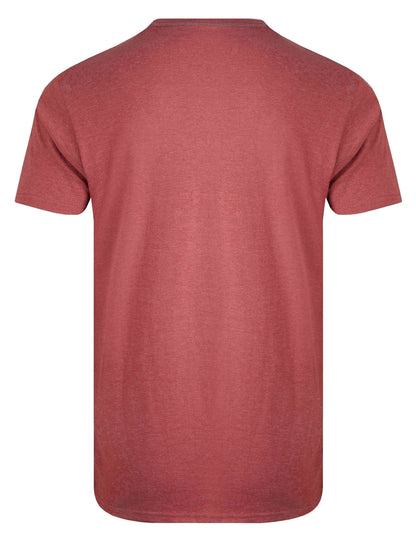 Weird Fish Mens Lake Life Printed Tee - Nut