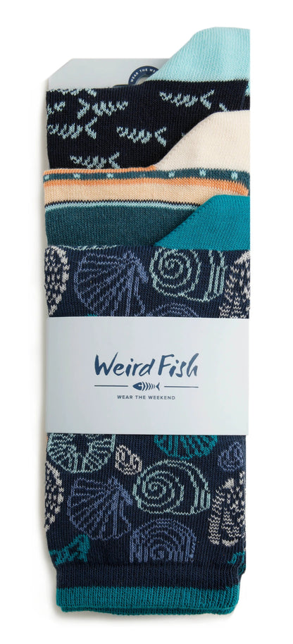 Weird Fish women's Parade three pack of socks with fish, stripe and shell patterns.