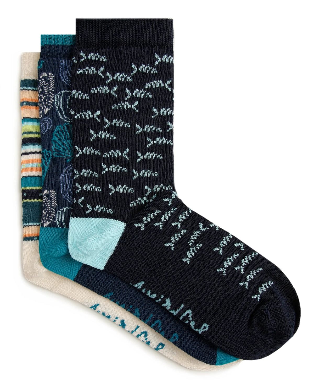 Weird Fish women's Parade three pack of cotton blend socks with fish, stripe and shell patterns.