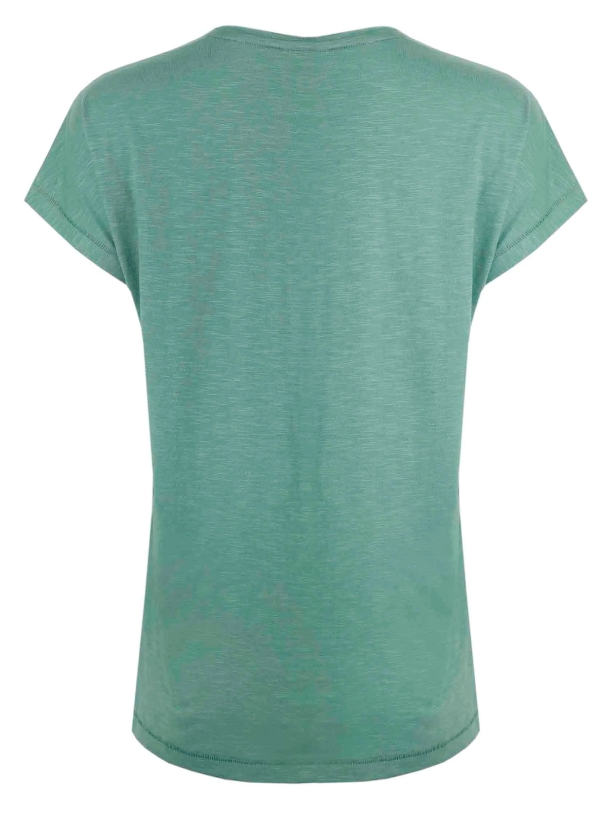Plain back view of a women's Weird Fish 'Walkies' dog print t-shirt in jade green.