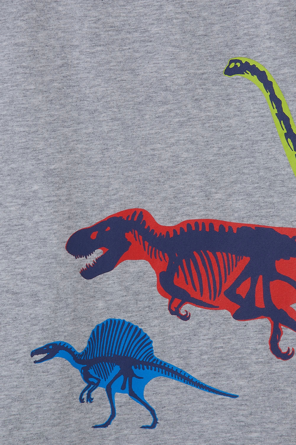 Lighthouse Kids 'Oliver' Short Sleeve Dinosaur Print Tee