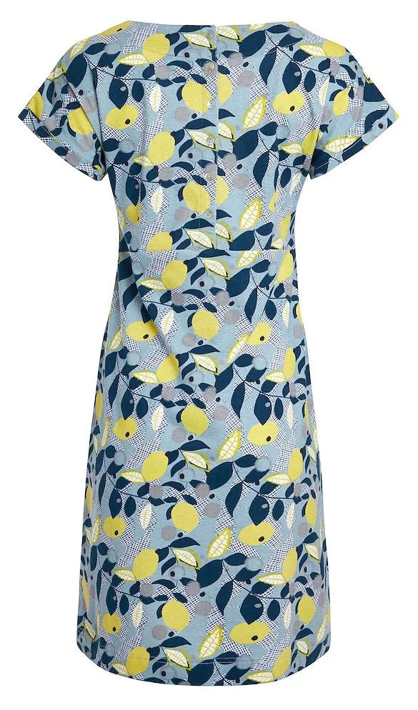 Weird top fish dresses